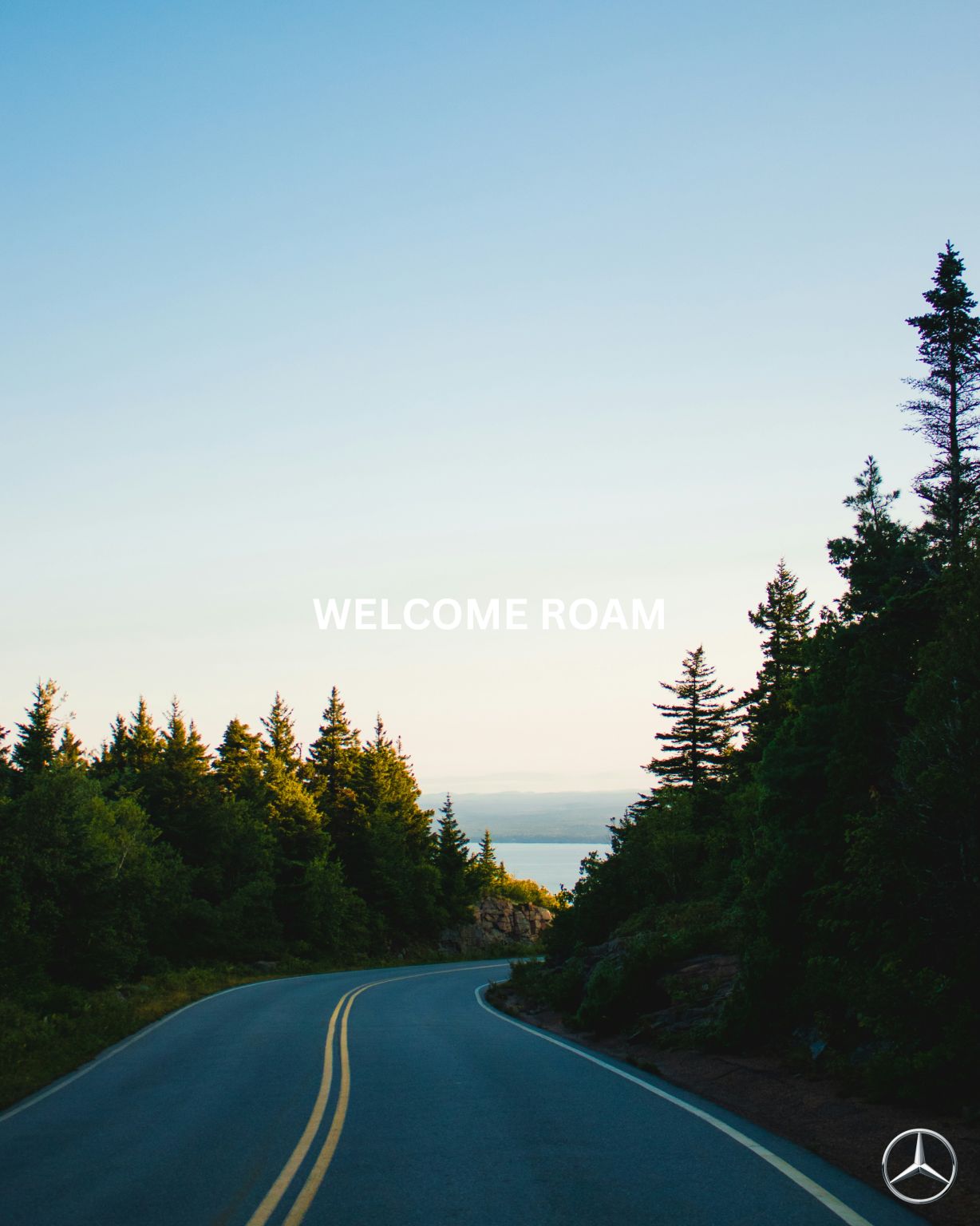 Mercedes × Airstream — Welcome roam (forest).