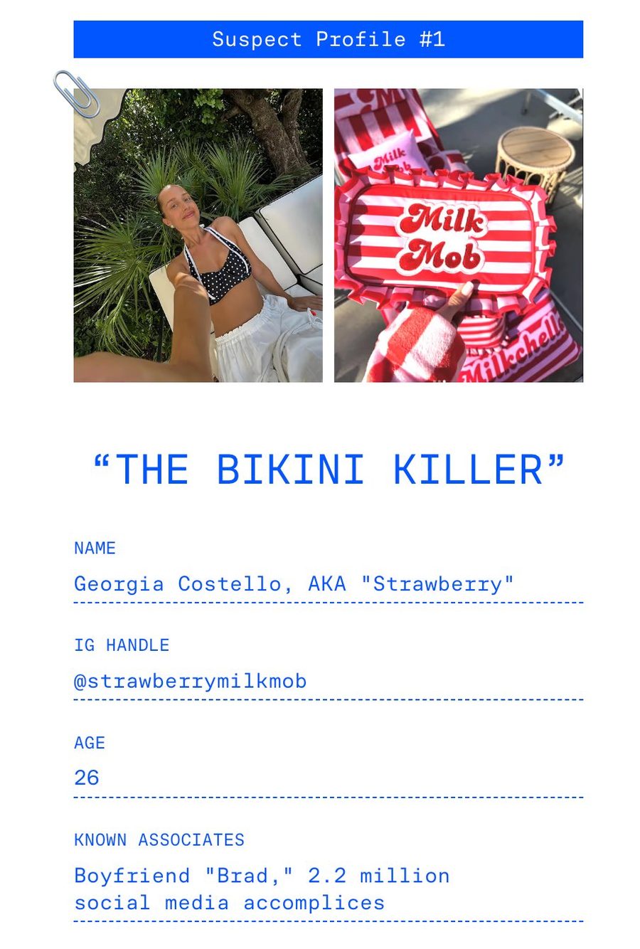 Chronically Online Magazine — Criminal Investigation feature.